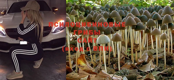 соль ск Верхний Тагил