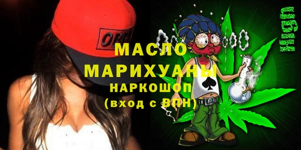 МДПВ Бородино