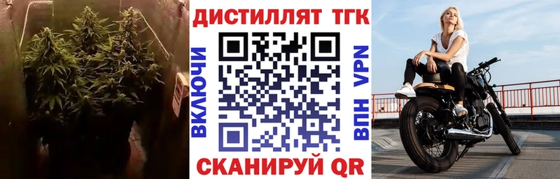 blacksprut   Выборг  Дистиллят ТГК вейп 
