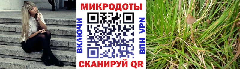 Псилоцибиновые грибы мухоморы  Выборг 