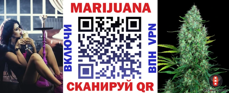 Бошки марихуана семена  даркнет сайт  kraken ТОР  Выборг 